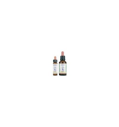 Agrimony 01 - 10 ml