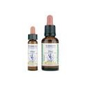 Cherry Plum 06, 10 ml