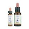 Impatiens 18, 10 ml