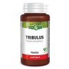 Tribulus terrestris e.s. 60 capsule