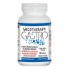 Micotherapy Gastro - 90 cps