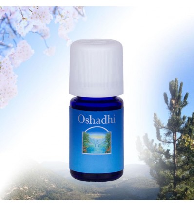 Olio essenziale di Salvia Sclarea 5 ml