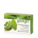 Ginkgo Biloba 60 cps