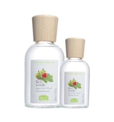 Profumi della Casa - Fico Verde bastoncini 100 ml