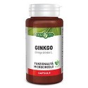 Ginkgo Biloba 60 cps