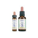 Centaury 4, 10 ml