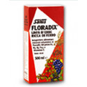 Floradix 500ml